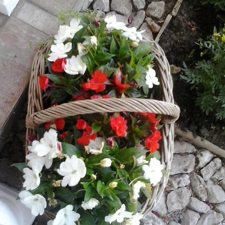 Guesthouse Tomas Catrnja Bagian luar foto