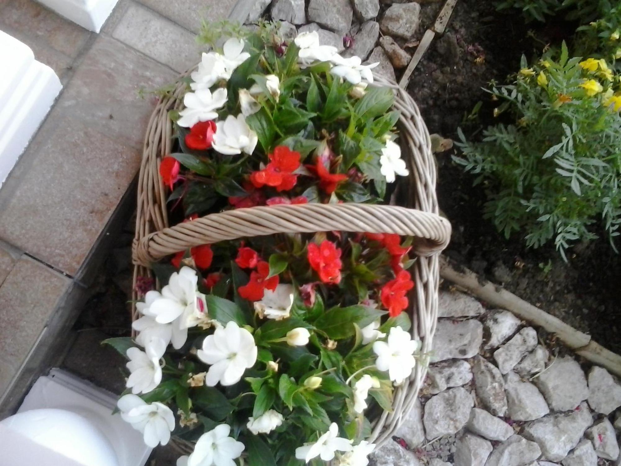 Guesthouse Tomas Catrnja Bagian luar foto