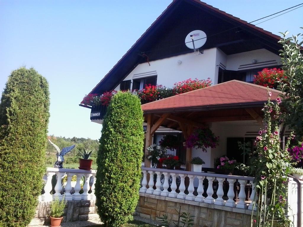 Guesthouse Tomas Catrnja Bagian luar foto