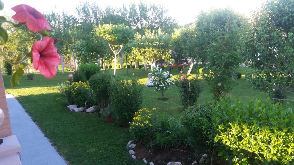 Guesthouse Tomas Catrnja Bagian luar foto