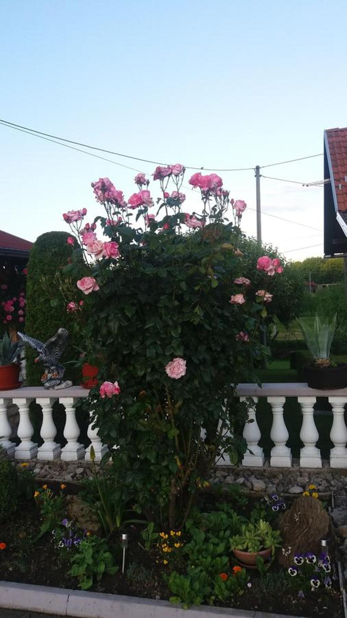 Guesthouse Tomas Catrnja Bagian luar foto