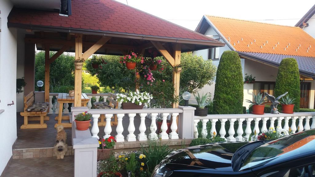 Guesthouse Tomas Catrnja Bagian luar foto