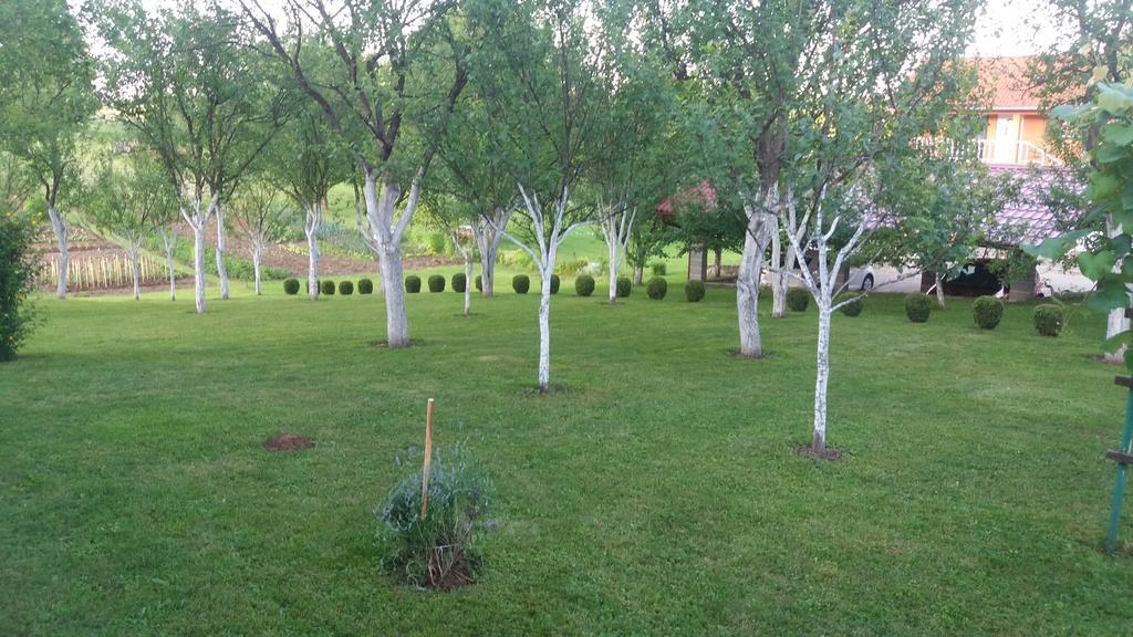 Guesthouse Tomas Catrnja Bagian luar foto