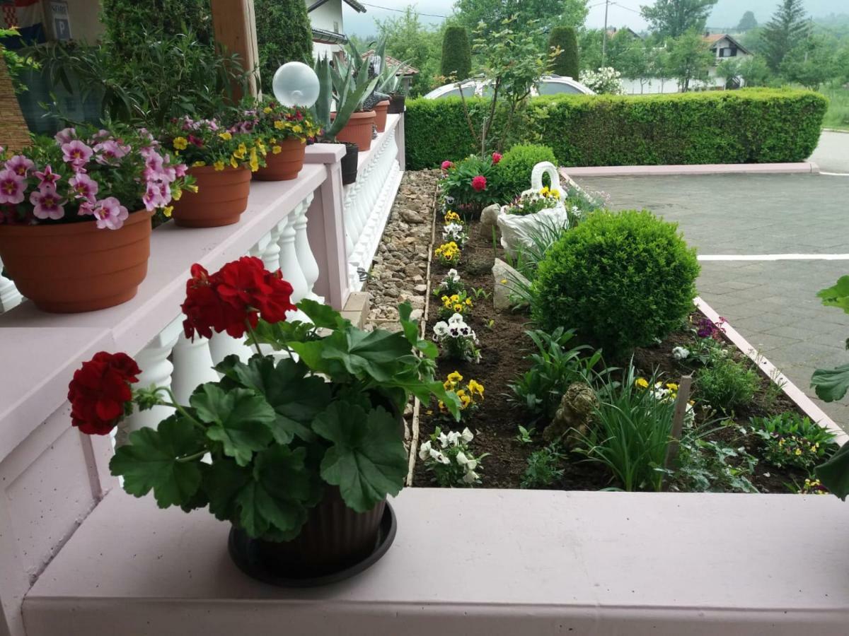 Guesthouse Tomas Catrnja Bagian luar foto