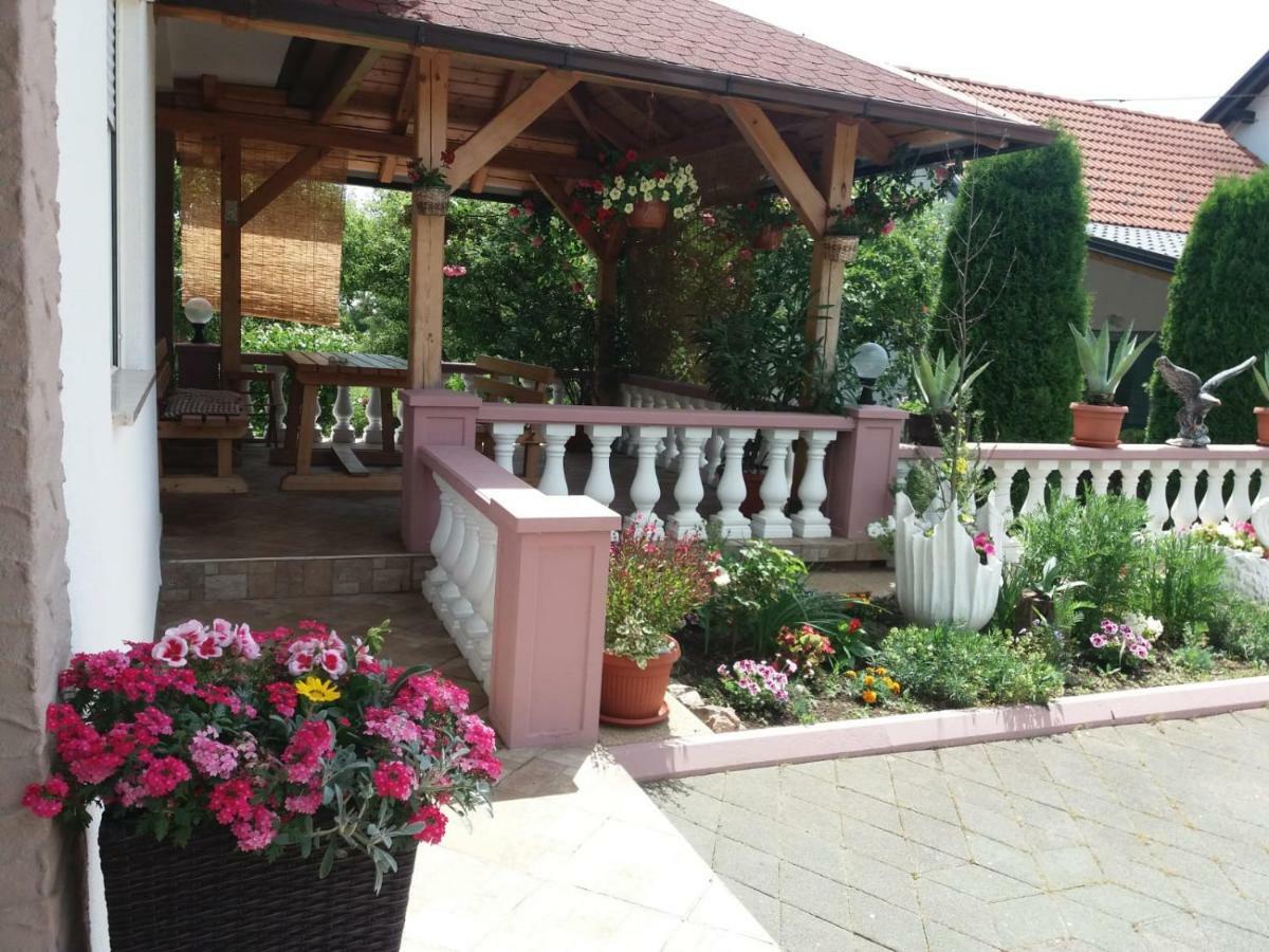 Guesthouse Tomas Catrnja Bagian luar foto